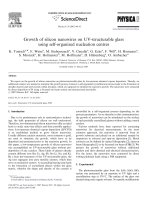 Growth of silicon nanowires on UV structurable glass using self organized nucleation centres