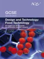 Design and Technology: Food Technology pdf