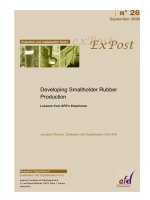 Developing Smallholder Rubber Production pot