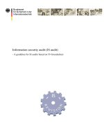 Information security audit (IS audit) - A guideline for IS audits based on IT-Grundschutz pptx