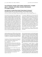 Báo cáo Y học: Loss-of-function variants of the human melanocortin-1 receptor gene in melanoma cells deﬁne structural determinants of receptor function doc