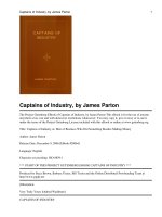 Captains of Industry or, Men of Business Who Did Something Besides Making Money doc