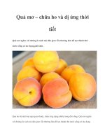 Quả mơ – chữa ho và dị ứng thời tiết ppt