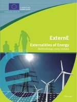 ExternE - Externalities of Energy potx