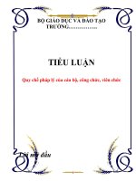 TIỂU LUẬN: Quy chế pháp lý của cán bộ, công chức, viên chức ppt