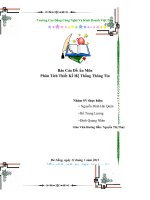 Báo Cáo Đồ Án Môn PTTKHTTT- Đề tài Quản Lý Bán Hàng docx