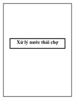 Xử lý nước thải chợ pot