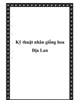 Kỹ thuật nhân giống hoa Địa Lan pot
