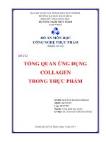 tổng quan ứng dụng collagen trong thực phẩm