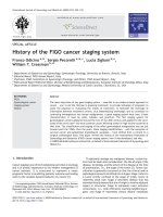 History of the FIGO cancer staging system pptx