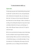 Cá tôm bị bênh do thiếu oxy potx