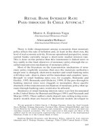 RETAIL BANK INTEREST RATE PASS-THROUGH: IS CHILE ATYPICAL? pptx