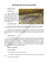 Kỹ thuật nuôi cá lóc trong ao đất pot