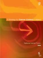 A Strategy for Cancer Control in Ireland - National Cancer Forum 2006 pdf
