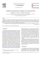 preparation and properties of magnetic iron oxide nanotubes