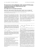 Báo cáo Y học: The role of zinc in the methylation of the coenzyme M thiol group in methanol:coenzyme M methyltransferase from Methanosarcina barkeri New insights from X-ray absorption spectroscopy doc