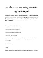 Tư vấn cải tạo căn phòng 60m2 cho cặp vợ chồng trẻ potx