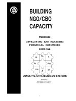 NGO capacity developing and managing financial resources