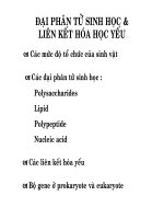 Đại phân tử sinh học & liên kết hóa học yếu