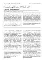 Báo cáo khoa học: Factors affecting habituation of PC12 cells to ATP potx