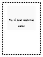 Một số kênh marketing online pptx