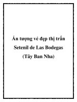 Ấn tượng vẻ đẹp thị trấn Setenil de Las Bodegas (Tây Ban Nha) ppt