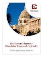 The Economic Impact of Stimulating Broadband Nationally docx