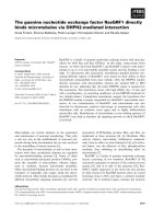 Báo cáo khoa học: The guanine nucleotide exchange factor RasGRF1 directly binds microtubules via DHPH2-mediated interaction docx