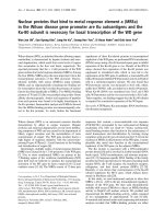 Báo cáo Y học: Nuclear proteins that bind to metal response element a (MREa) in the Wilson disease gene promoter are Ku autoantigens and the Ku-80 subunit is necessary for basal transcription of the WD gene ppt