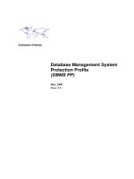 Database Management System Protection Profile (DBMS PP) pot