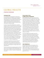 GLOBAL HEALTH STRATEGY OVERVIEW ppt