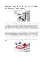 Nguyên tắc quản lý tiền tệ và tính chất kế hoạch trong forex trading