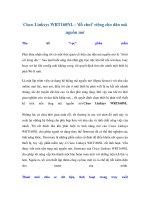 Cisco Linksys WRT160NL - ''''đồ chơi'''' riêng cho dân mã nguồn mở doc