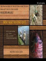 Đồ án:Nội thất mẫu giáo potx