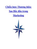 Chiến lược Thương hiệu: Sao Bắc đẩu trong Marketing docx