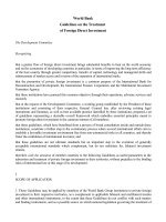 World Bank Guidelines on the Treatment of Foreign Direct Investment docx