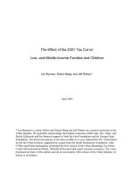 The Effect of the 2001 Tax Cut on Low- and Middle-Income Families and Children pdf
