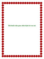 Bài thuốc dân gian chữa bệnh từ rau má potx