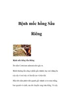 Bệnh mốc hồng Sầu Riêng docx