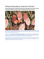 Những kẻ không diệp lục sống bám ở trong cuộc sống