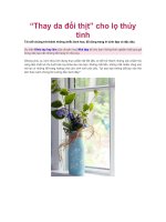 “Thay da đổi thịt” cho lọ thủy tinh pdf