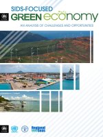 SIDS-FOCUSED An AnAlySIS OF ChAllEngES AnD OppOrtUnItIES ppt