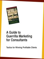 A Guide to Guerrilla Marketing for Consultants: Tactics for Winning Profitable Clients potx