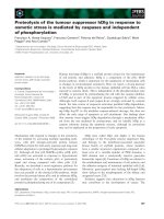Báo cáo khoa học: Proteolysis of the tumour suppressor hDlg in response to osmotic stress is mediated by caspases and independent of phosphorylation pot