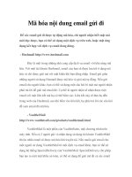 Mã hóa nội dung email gửi đi pot