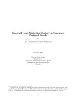Geography and Marketing Strategy in Consumer Packaged Goods docx