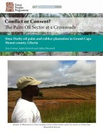CONFLICT OR CONSENT? THE PLAM OIL SECTOR AT A CROSSROADS pdf