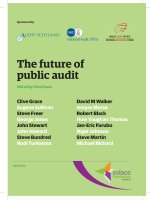 The future of public audit Edited by Clive Grace pdf