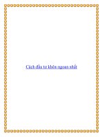 Cách đầu tư khôn ngoan nhất ppt