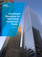INVESTMENT STRUCTURES FOR REAL ESTATE INVESTMENT FUNDS ppt